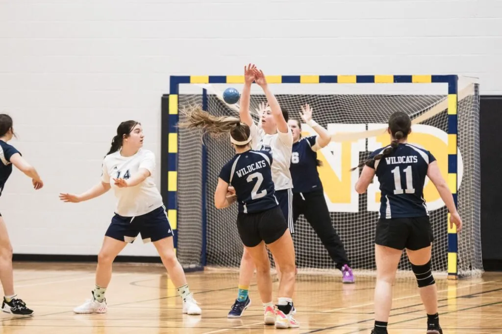 Handballnezones 13.jpgw1200h800modecrop